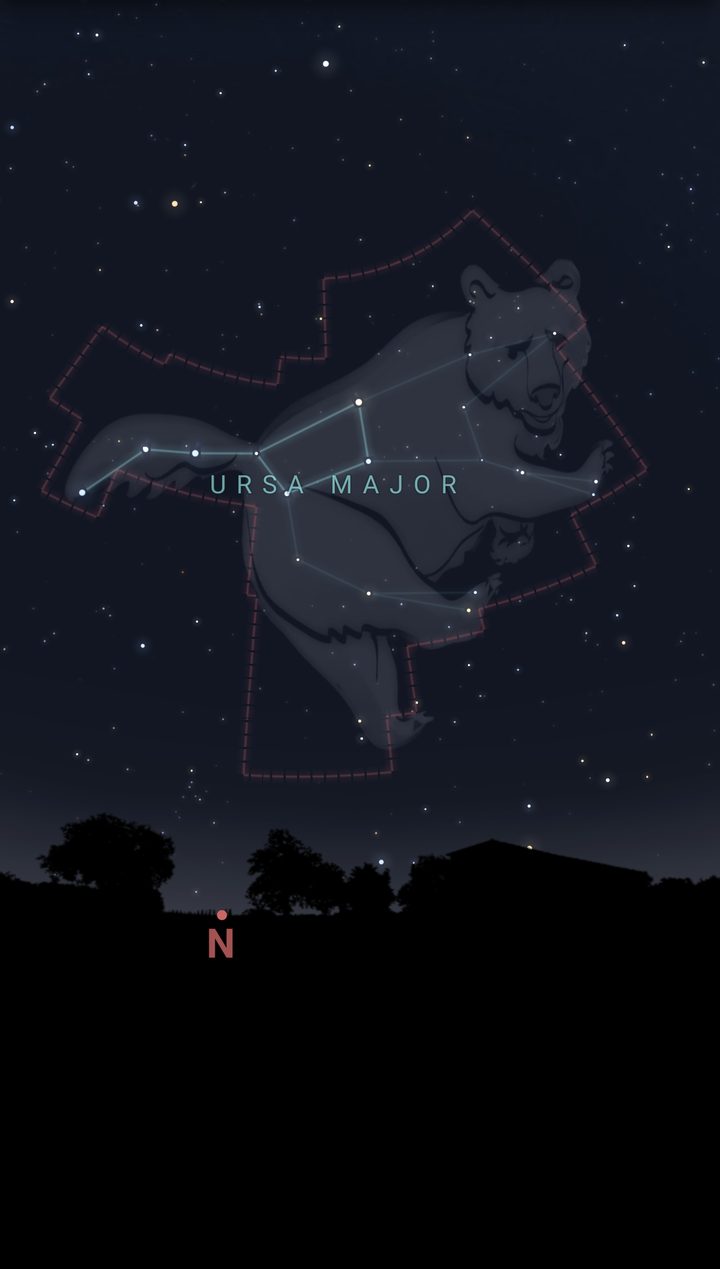 Ursa Major with its figure, lines and boundary over a treeline